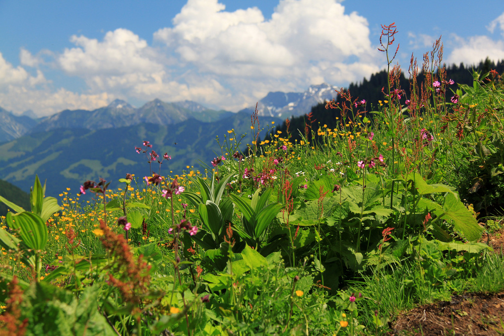 Charmante Naturkinder