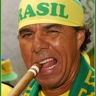 Charmanter Brasil Fan