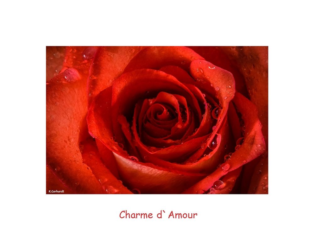 Charme d' Armour