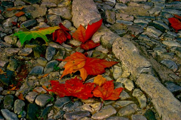 CHARME DE CETTE TRES PETITE  RUELLE ;;;;;;    