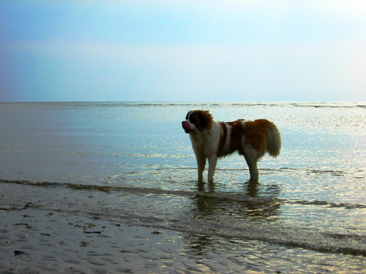 Charme de la plage.