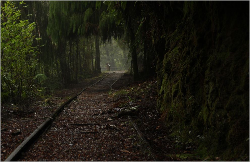 Charming creek walkway