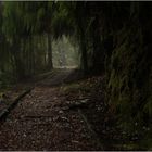 Charming creek walkway