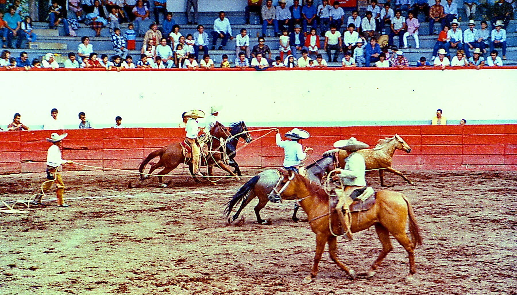 Charreada - mexikanisches Rodeo
