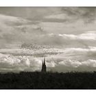 Chartres à vol d'oiseaux