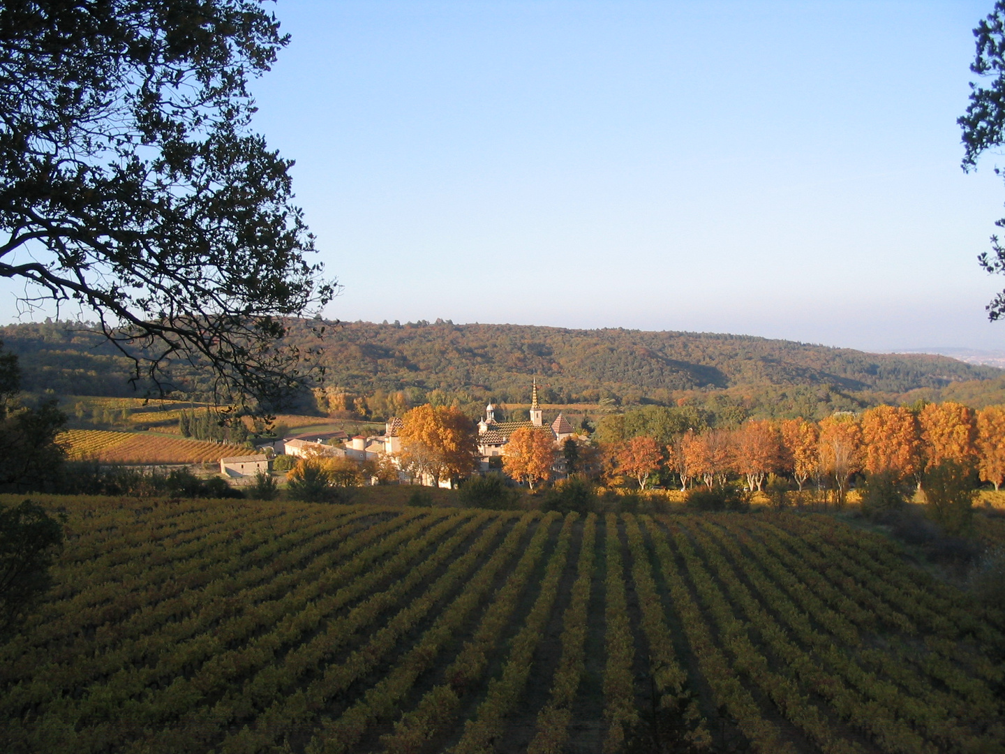 Chartreuse de Valbonne, Gard .