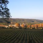 Chartreuse de Valbonne, Gard .