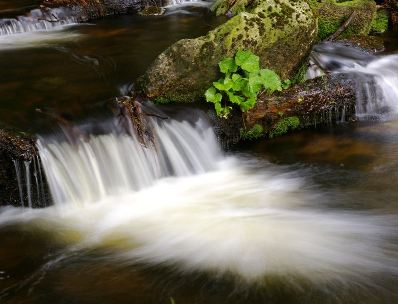 chasing waterfalls 2