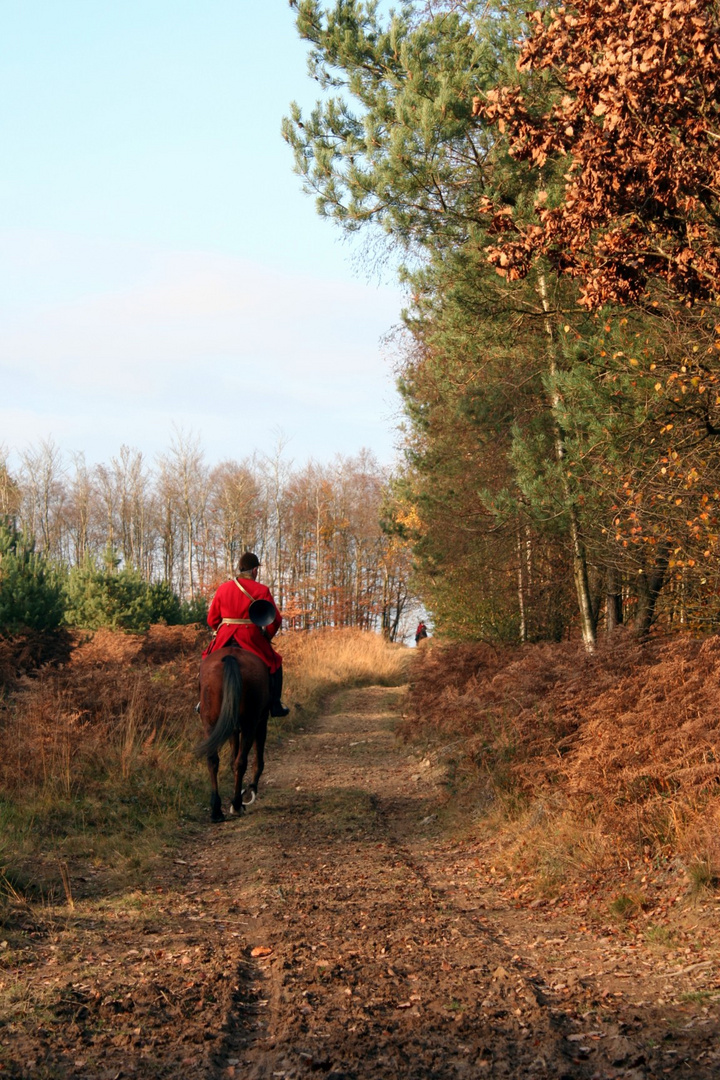 Chasse à courre