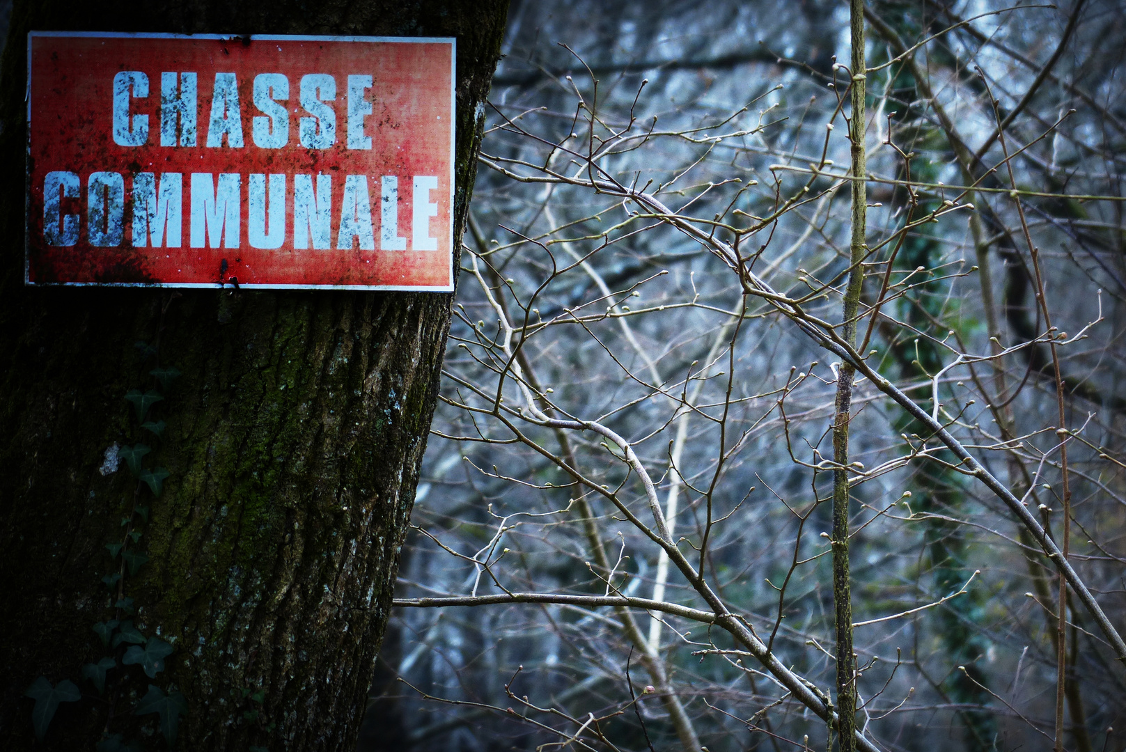 Chasse Communale