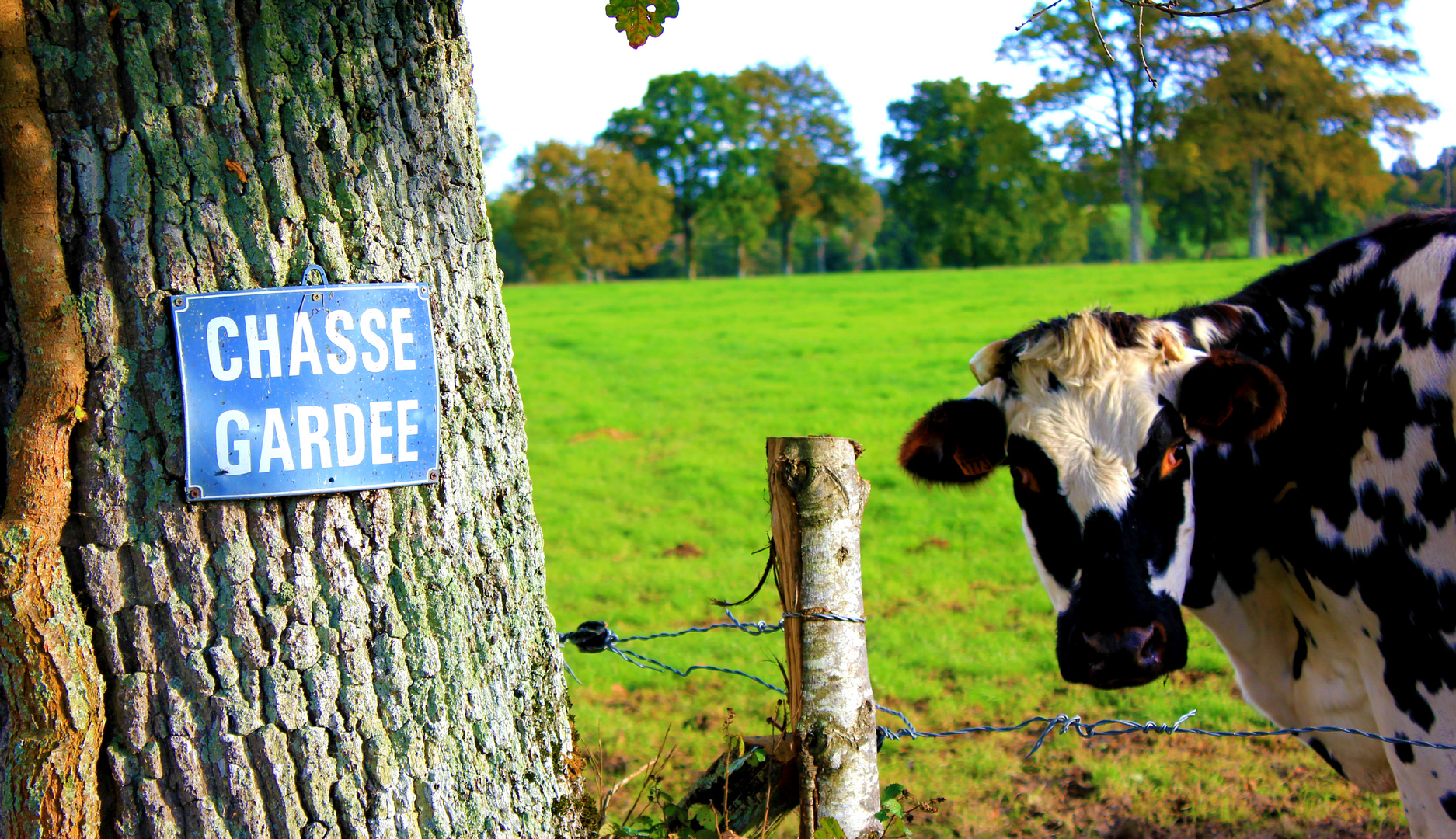 Chasse Gardée !!