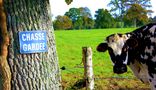 Chasse Gardée !! de RomPom