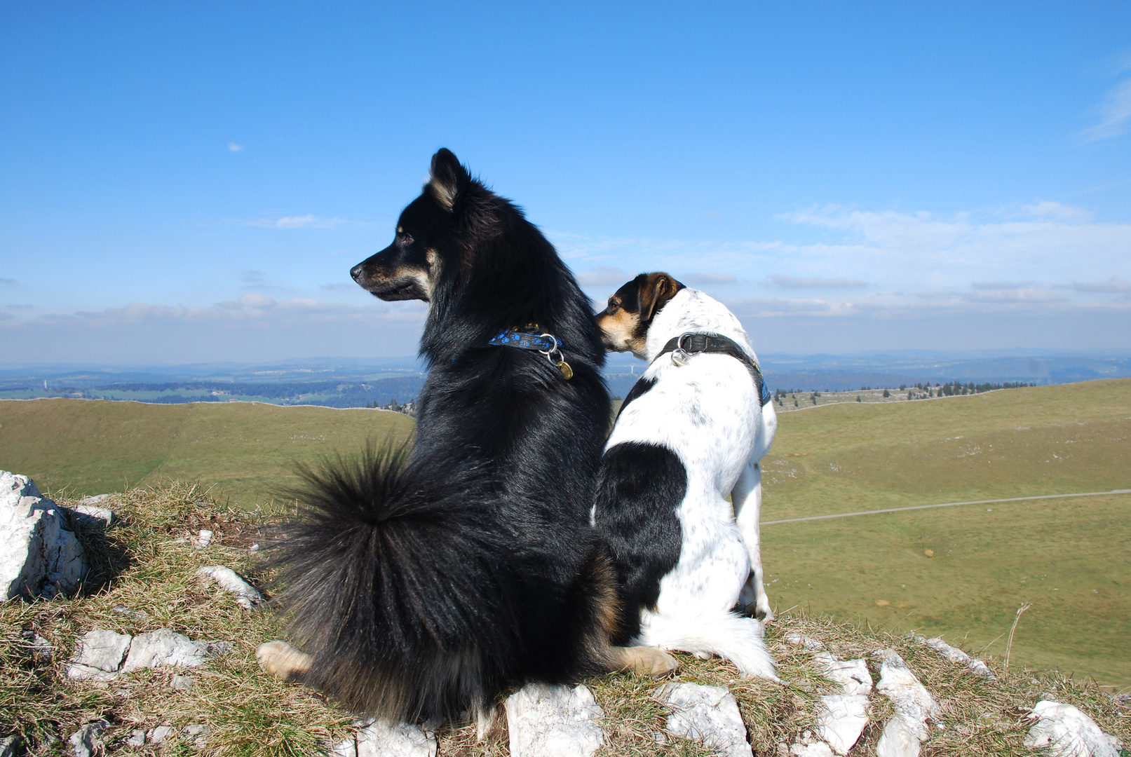 Chasseral