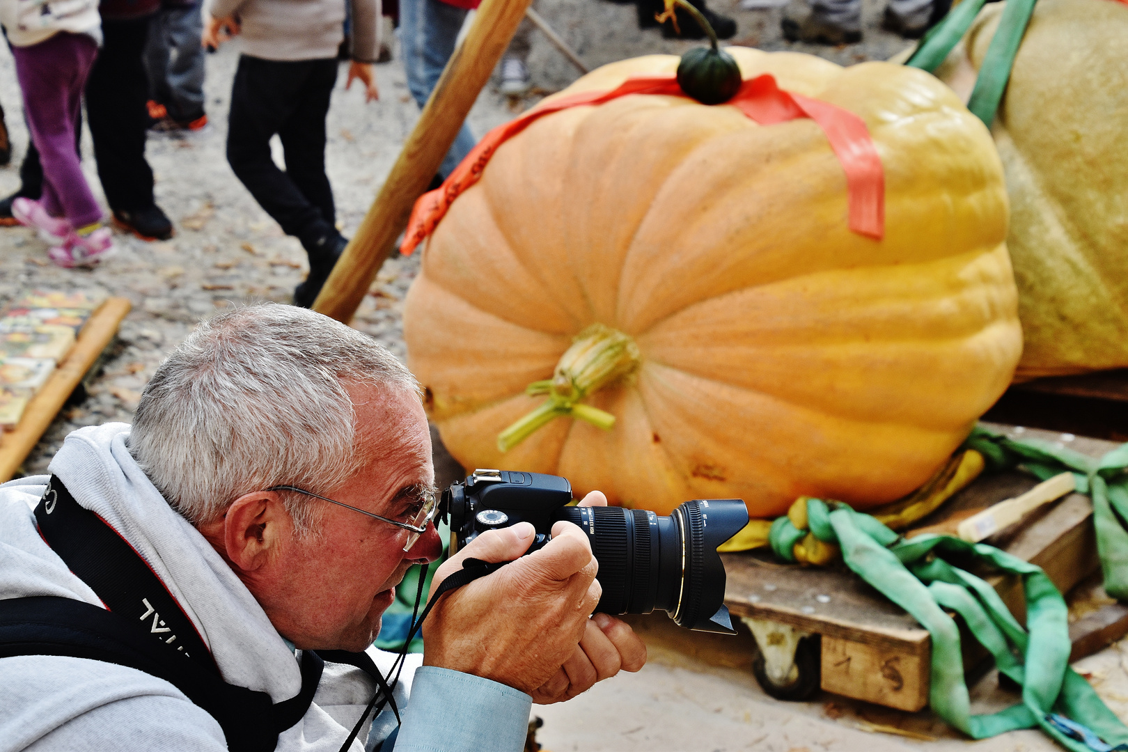 Chasseur de citrouilles..............