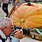 Chasseur de citrouilles..............