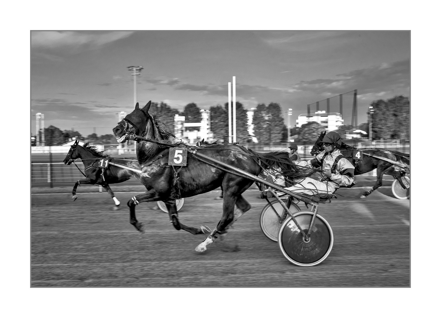 Chassez le naturel il revient au galop