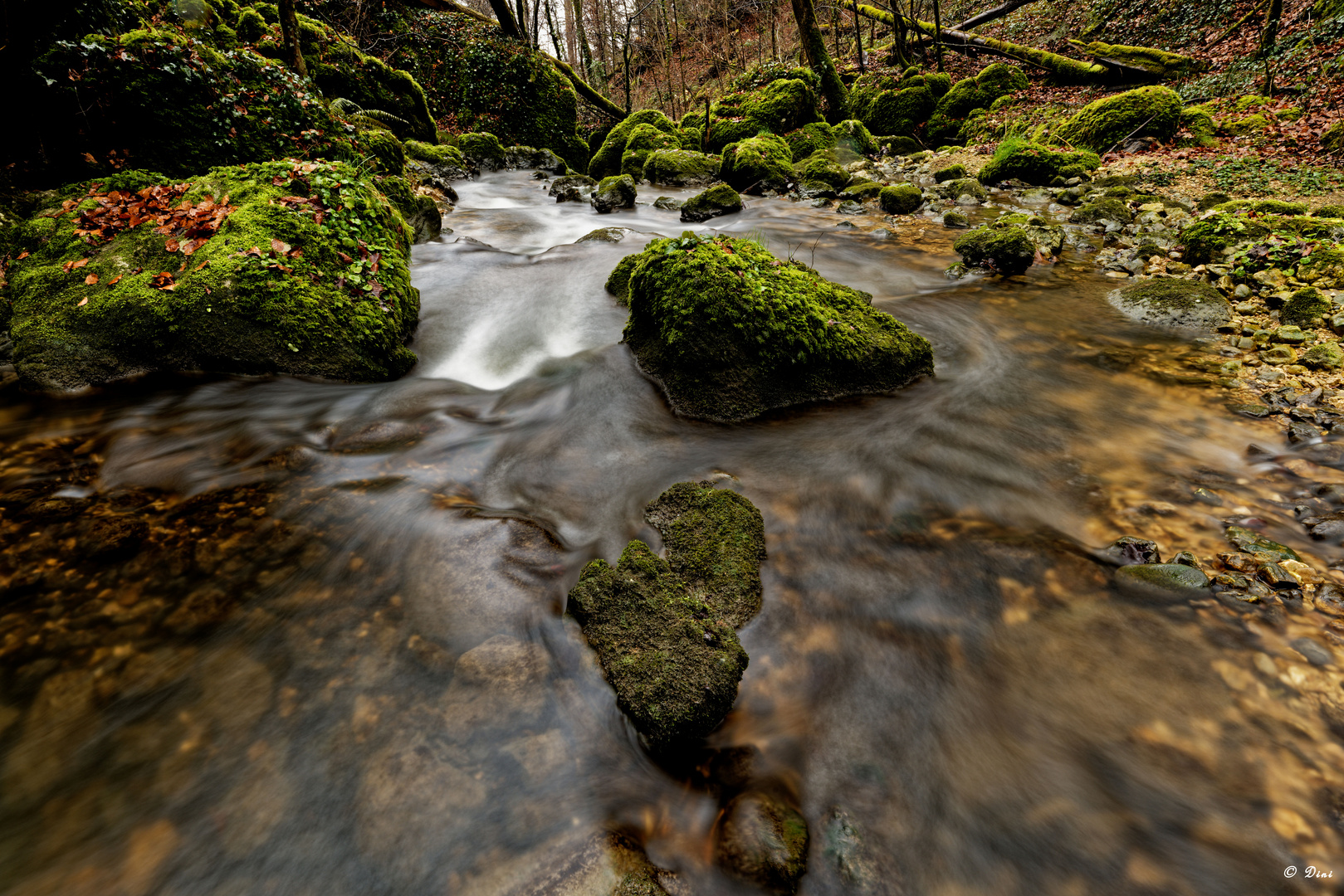 Chastelbach abwärts