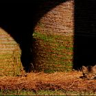 Chat bottes de paille ...