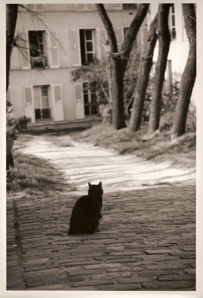 Chat de Montmartre