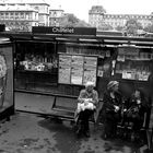 Chat in Paris bei Regen