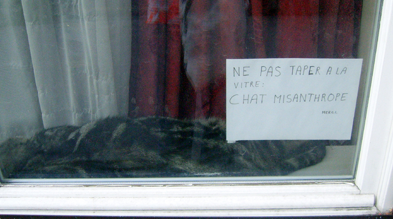 Chat misanthrope