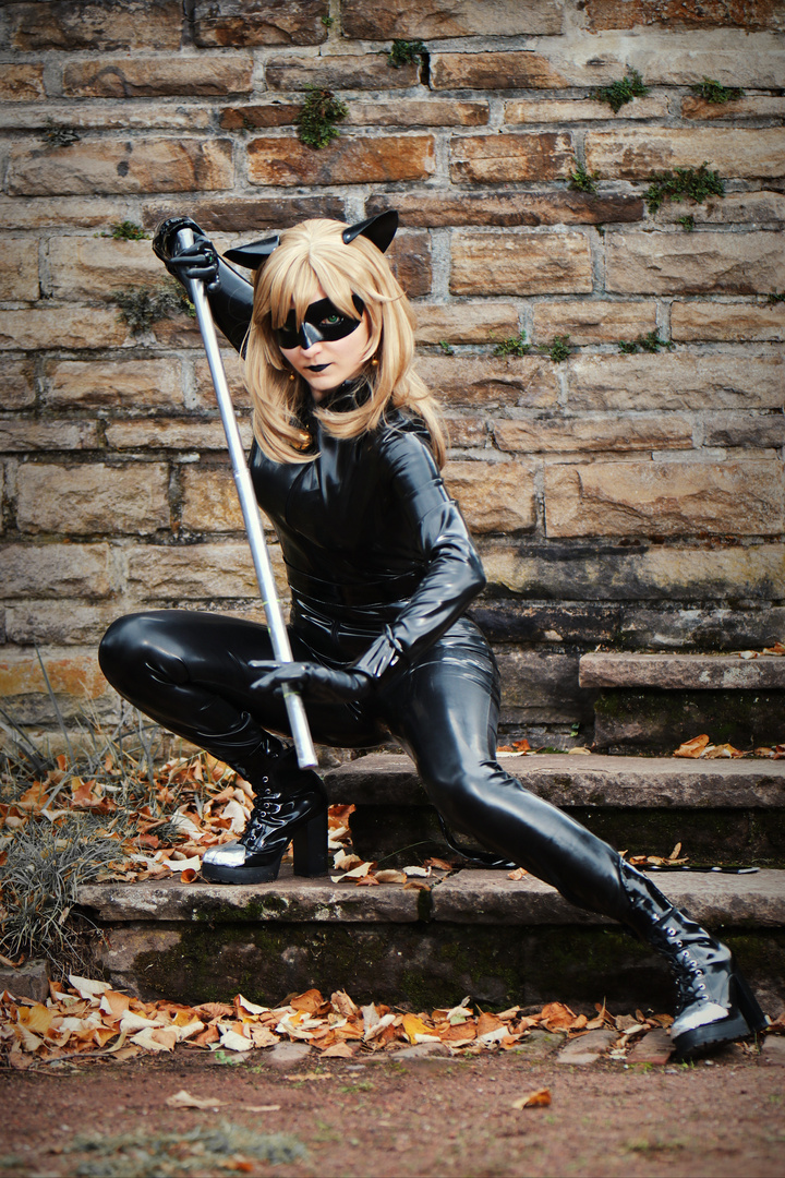 Chat Noir II