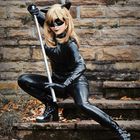 Chat Noir II