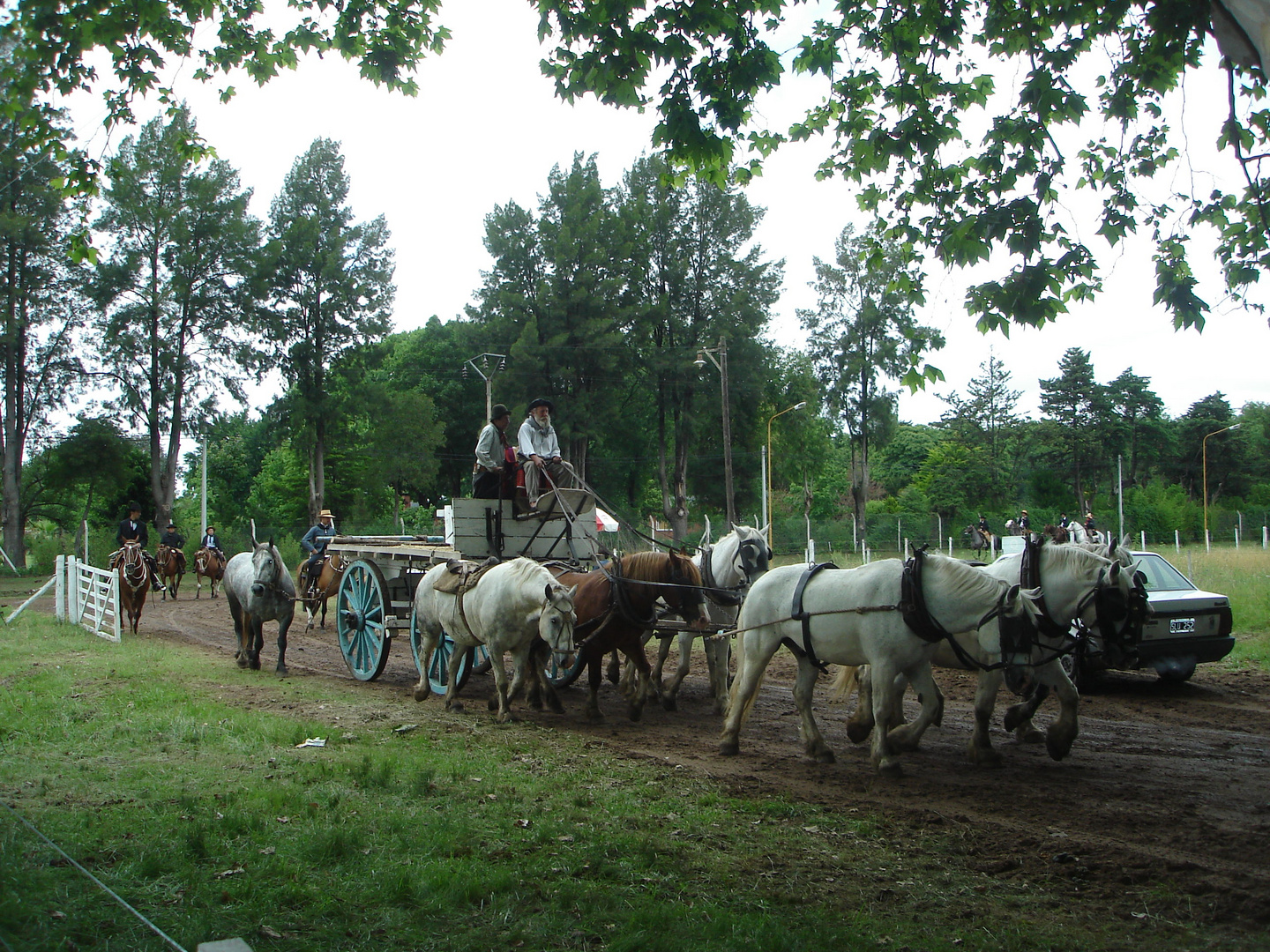 chata o carro de carga argentina