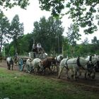 chata o carro de carga argentina