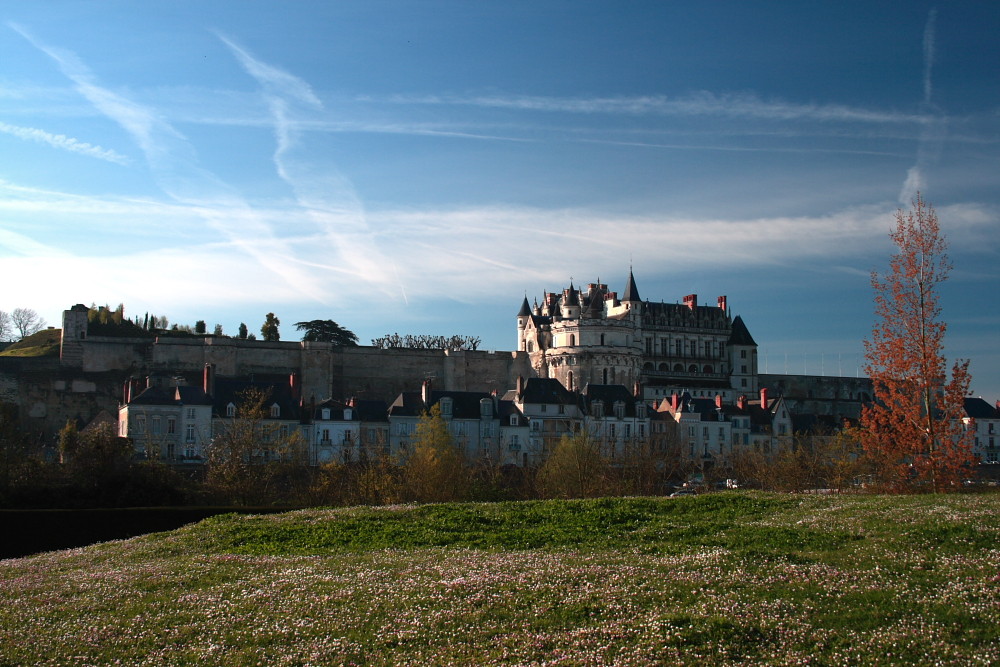 Chateau d'Amboise