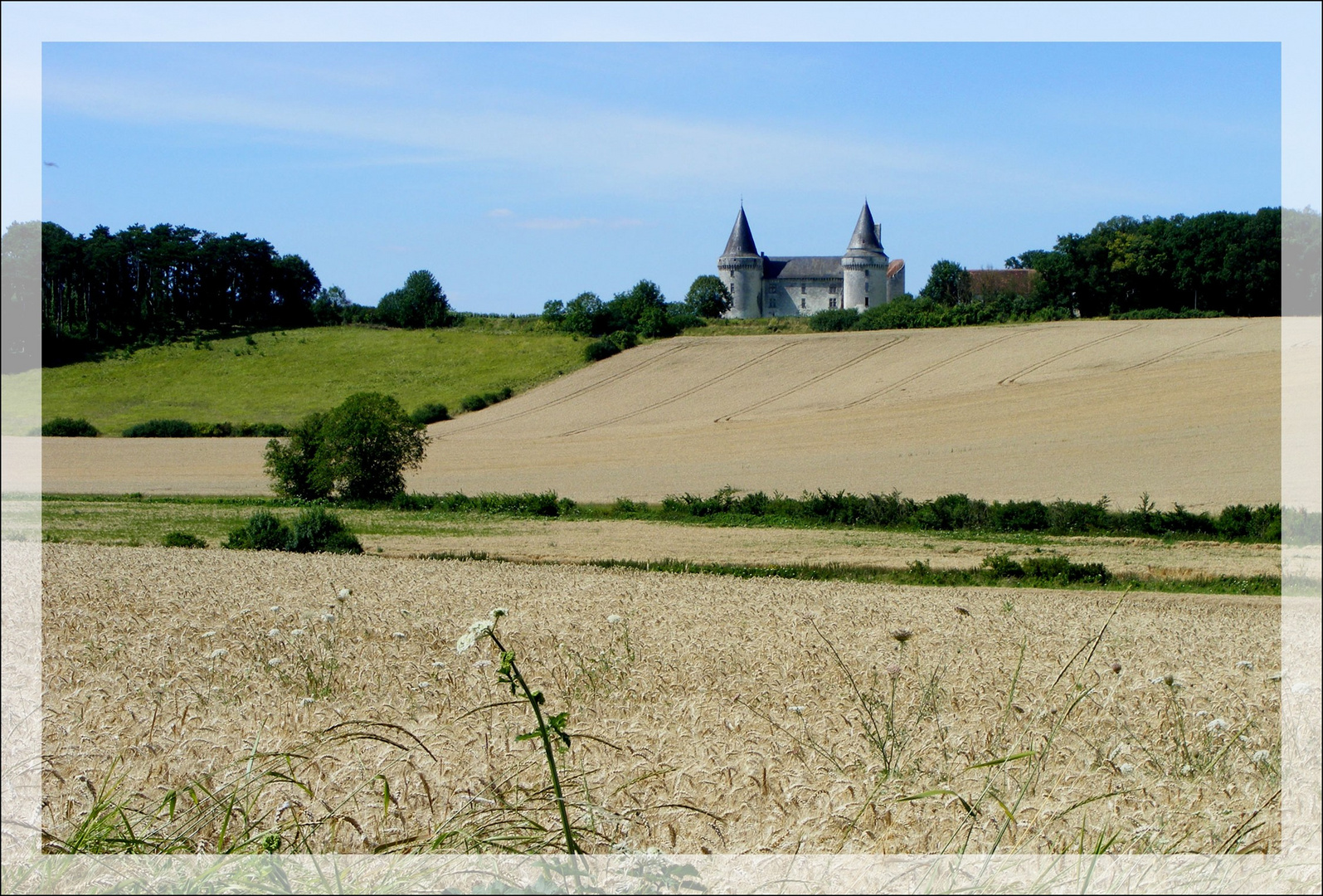 CHATEAU DANS LES CHAMPS