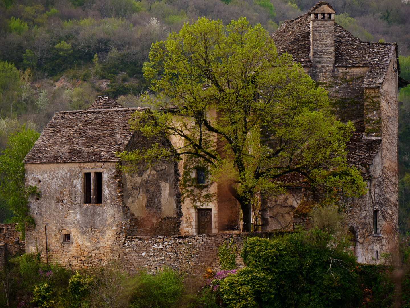 chateau de Brotel