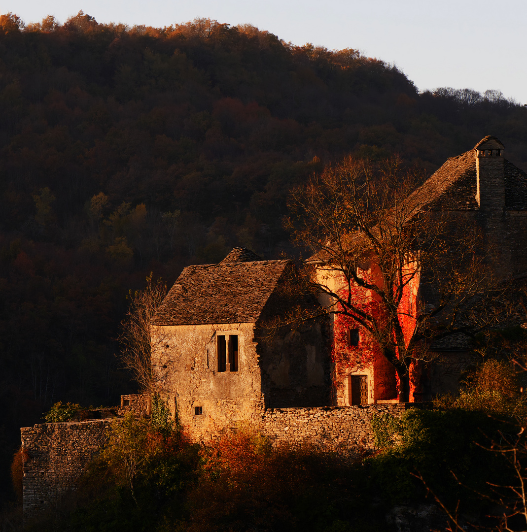 chateau de brotel isère