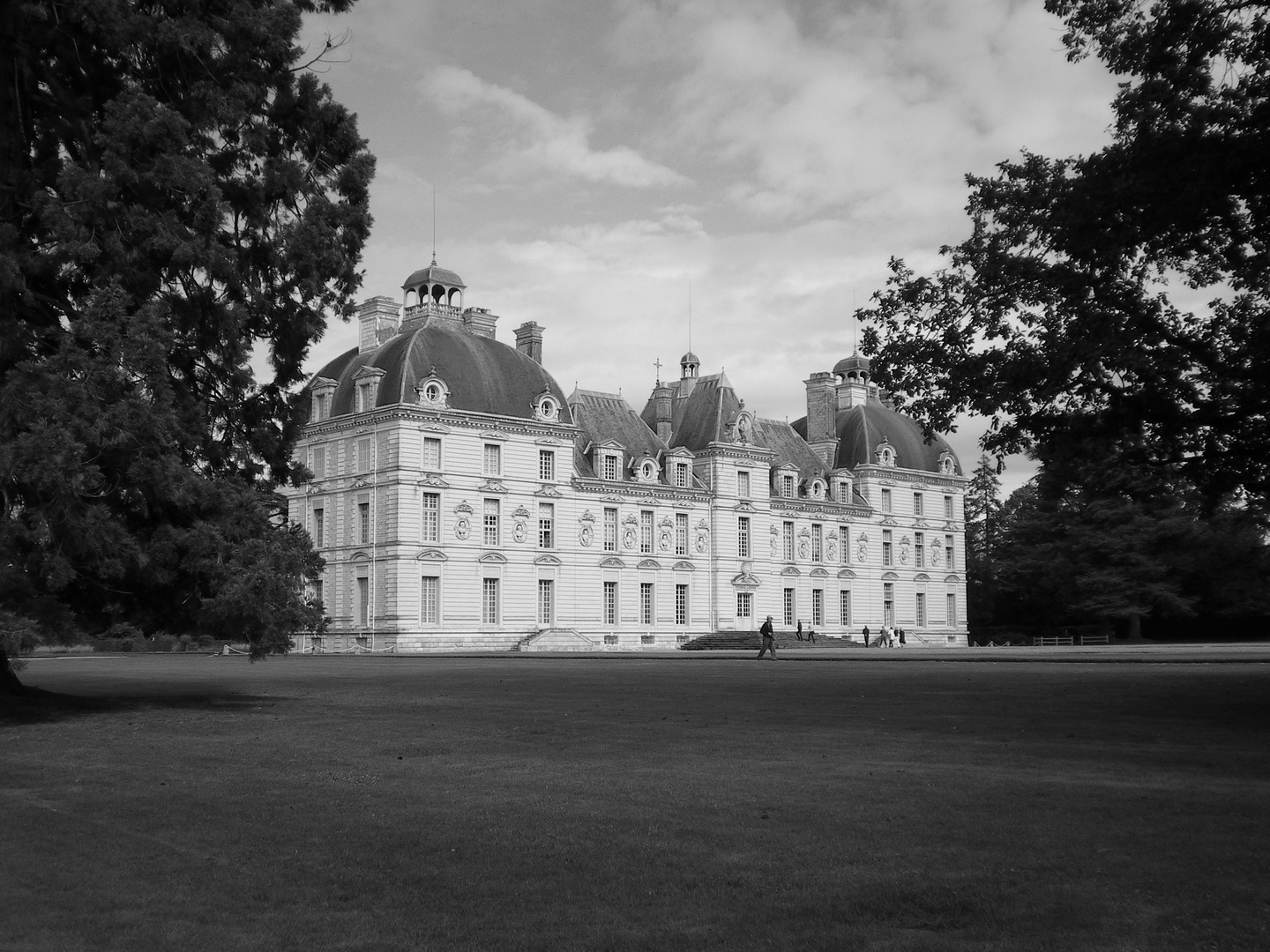 Chateau de Cheverny (41)