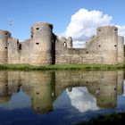 Chateau de Commequiers (Vendée)