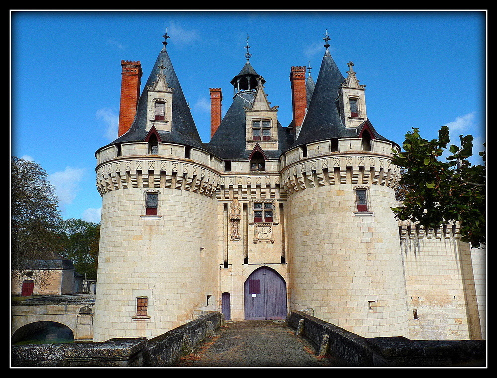 CHATEAU DE DISSAY - 1 -