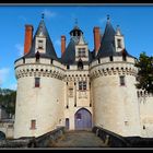 CHATEAU DE DISSAY - 1 -