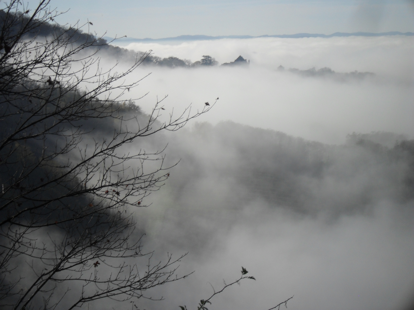 CHATEAU DE FRONTENAY DANS LE BROUILLARD