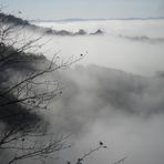 CHATEAU DE FRONTENAY DANS LE BROUILLARD