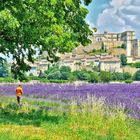 Chateau de Grignan