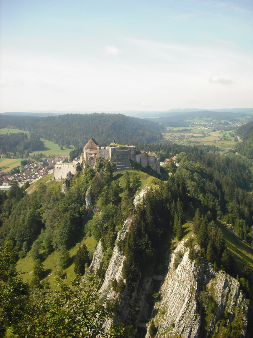 chateau de Joux