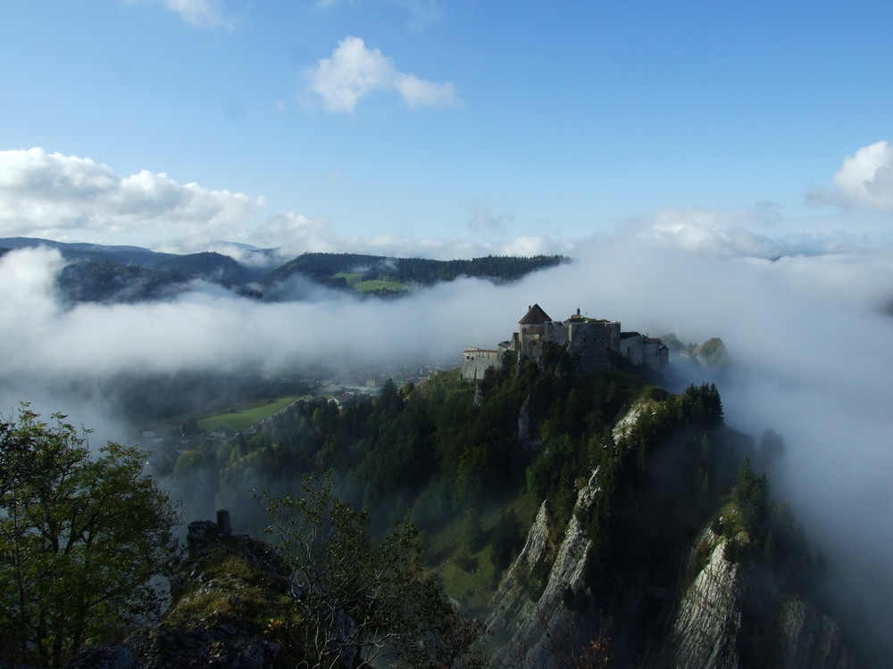 chateau de joux