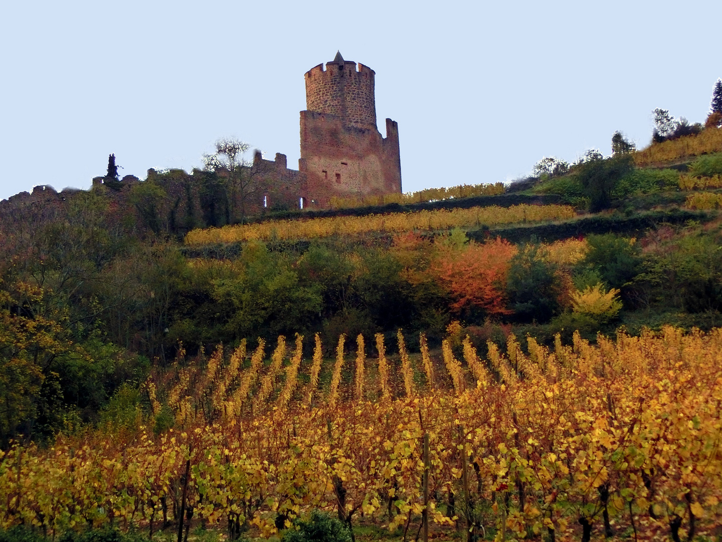 CHATEAU de KAYSERSBERG