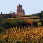 CHATEAU de KAYSERSBERG