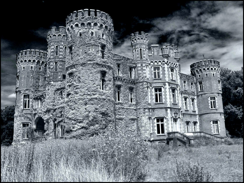 Chateau de la Forêt