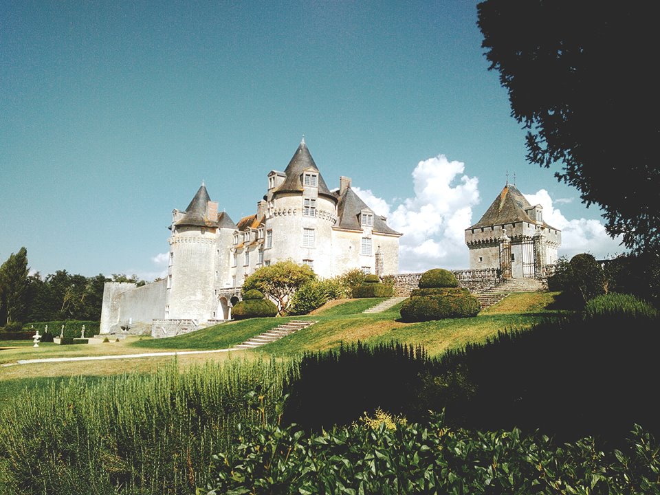 Chateau de La Roche Courbon