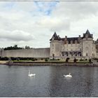 Chateau de la Roche Courbon.