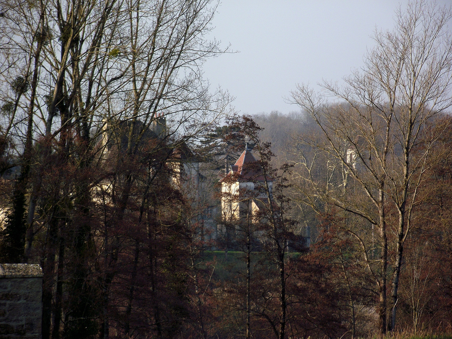 CHATEAU DE LA SAUGE (ST LAMAIN 39)