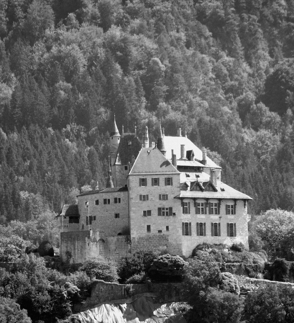 Chateau de Menthon St Bernard