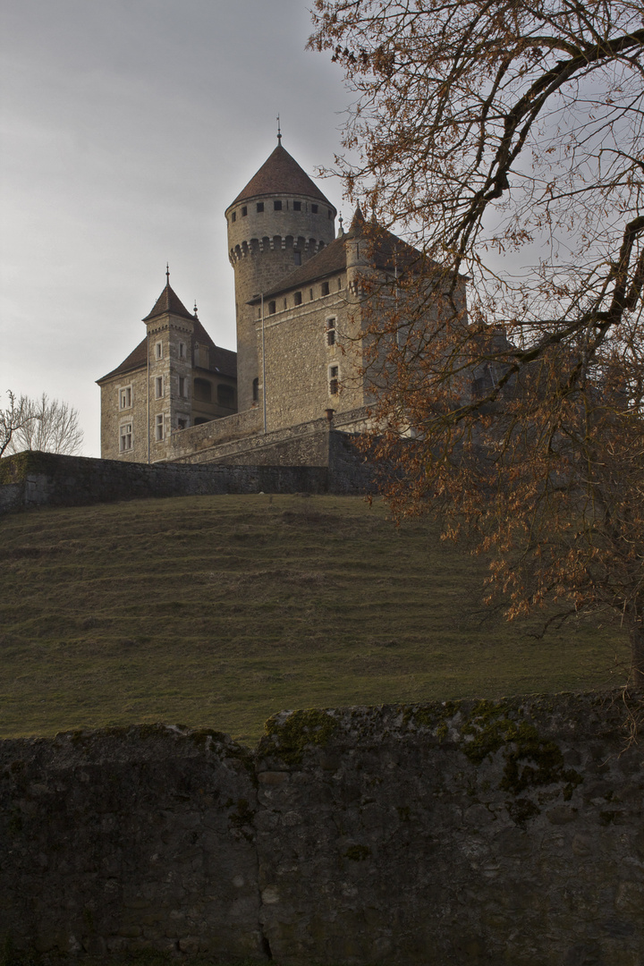 Chateau de Montrottier